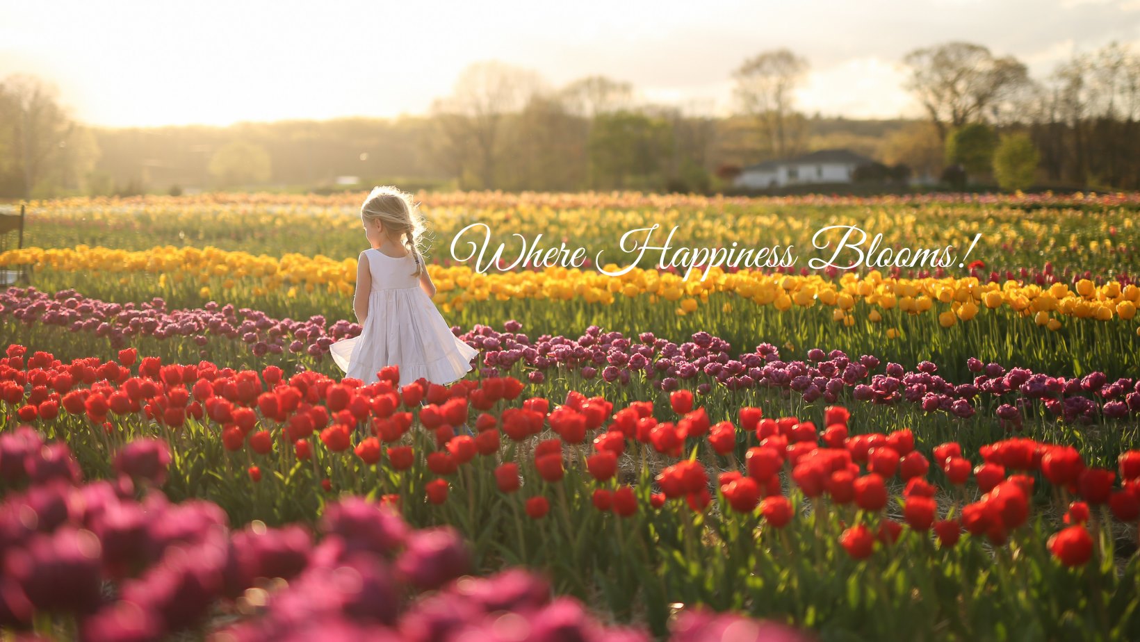 Johnston, Rhode Island 